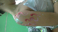 /album/fotogaleria/foto19-png/