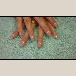 /album/fotogaleria/foto34-png/
