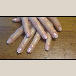 /album/fotogaleria/foto37-png/