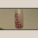 /album/fotogaleria/foto39-png/