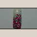 /album/fotogaleria/foto41-png/